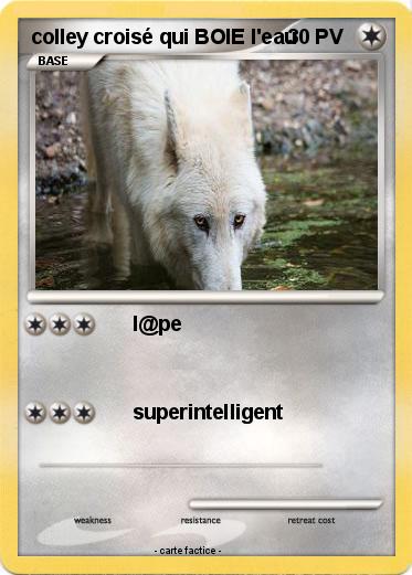 Pokemon colley croisé qui BOIE l'eau