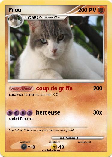 Pokemon Filou