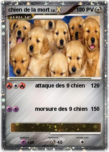 Pokemon chien de la mort