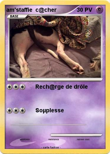 Pokemon am'staffie  c@cher