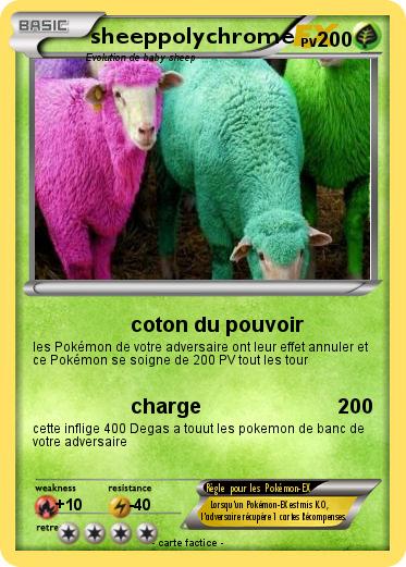 Pokemon sheeppolychrome