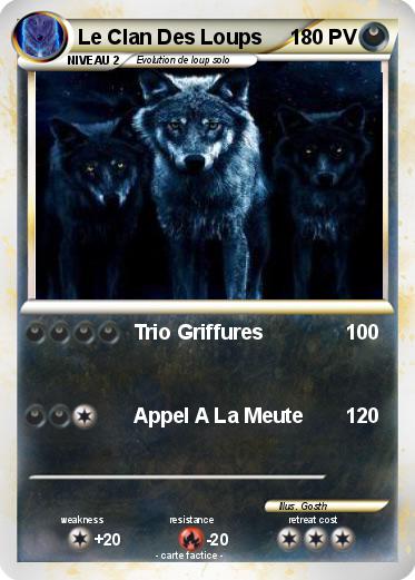 Pokemon Le Clan Des Loups