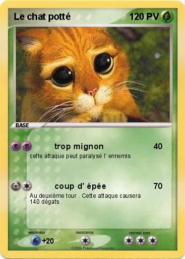 Pokemon Le chat potté