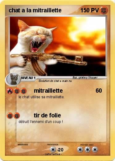 Pokemon chat a la mitraillette