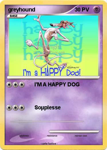Pokemon greyhound