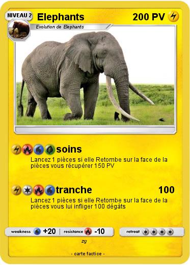 Pokemon Elephants