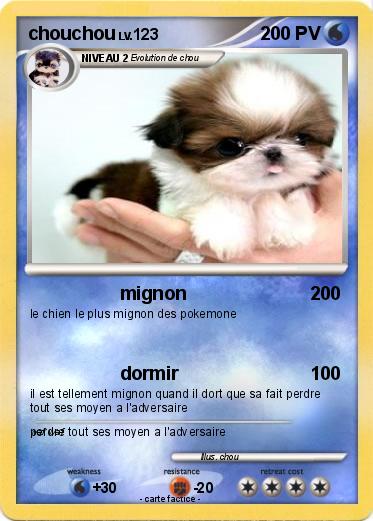 Pokemon chouchou