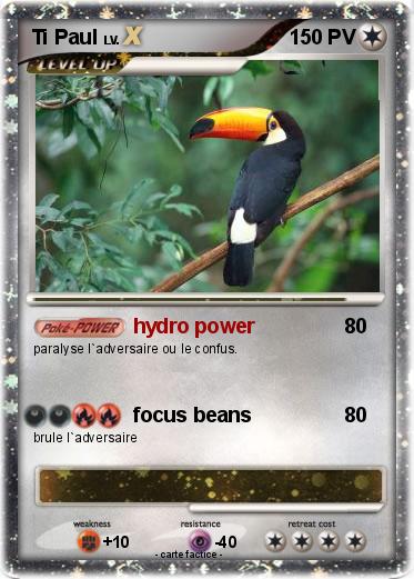 Pokemon Ti Paul
