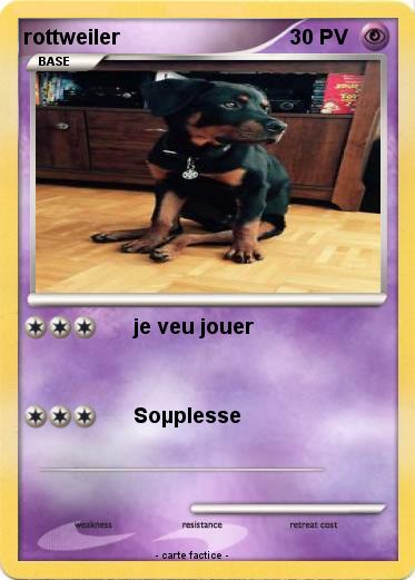 Pokemon rottweiler