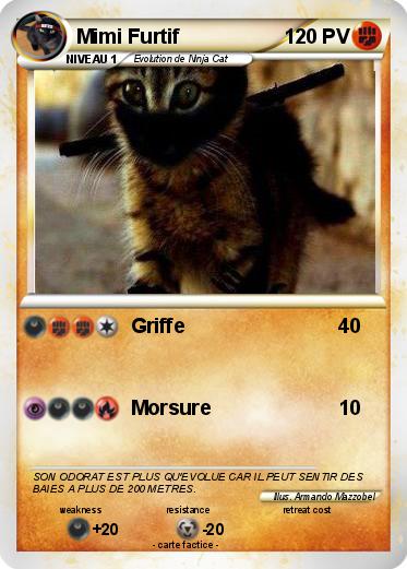 Pokemon Mimi Furtif