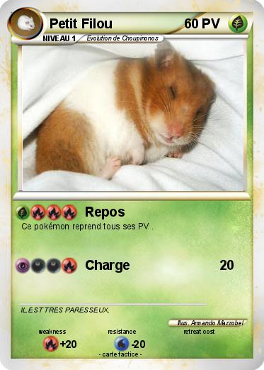 Pokemon Petit Filou