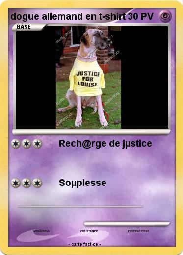 Pokemon dogue allemand en t-shirt