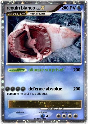 Pokemon requin blanco