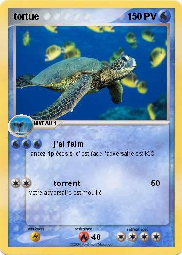 Pokemon tortue