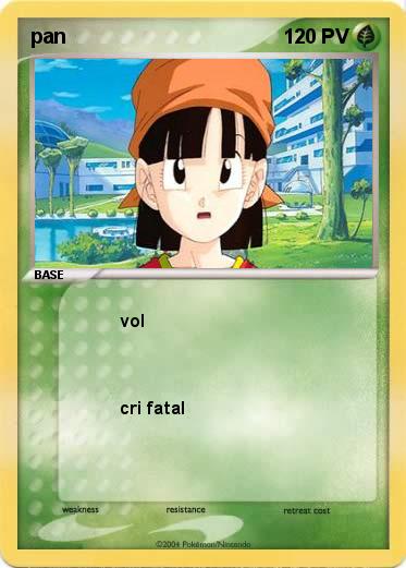 Pokemon pan