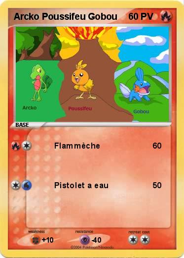 Pokemon Arcko Poussifeu Gobou