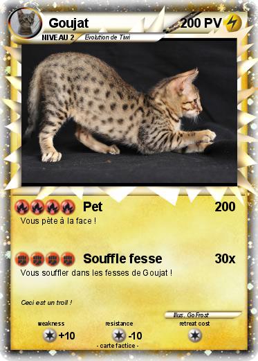 Pokemon Goujat
