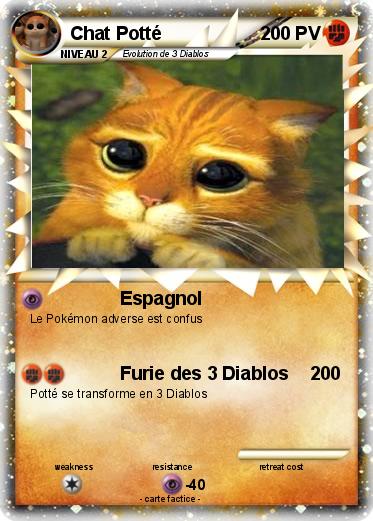 Pokemon Chat Potté