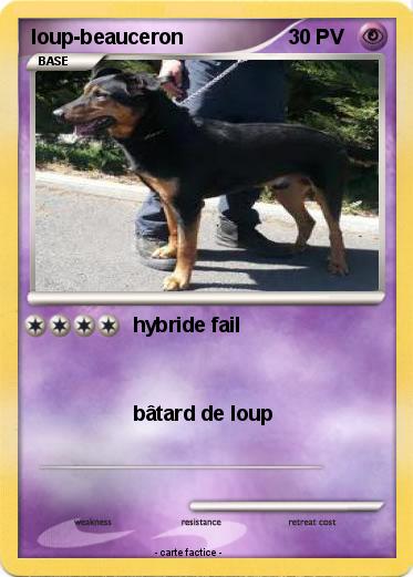 Pokemon loup-beauceron