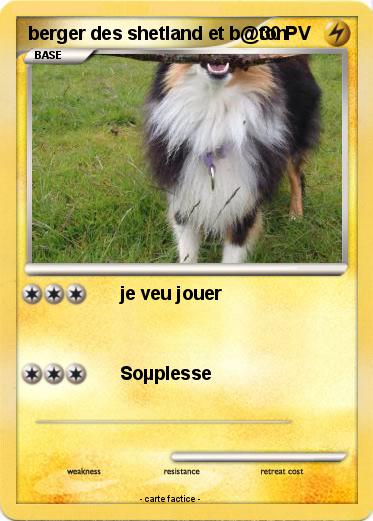 Pokemon berger des shetland et b@ton