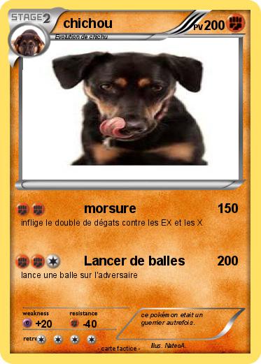 Pokemon chichou