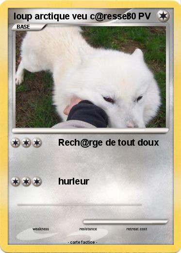 Pokemon loup arctique veu c@resser