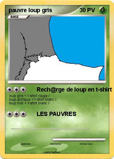 Pokemon pauvre loup gris