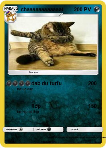 Pokemon chaaaaaaaaaaaat