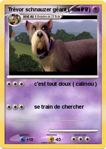 Pokemon Trévor schnauzer géant ( sims 3 )