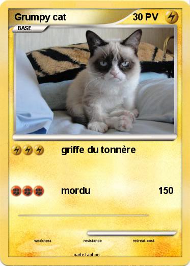 Pokemon Grumpy cat