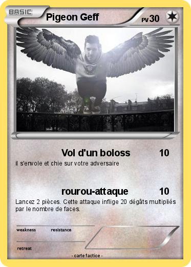 Pokemon Pigeon Geff