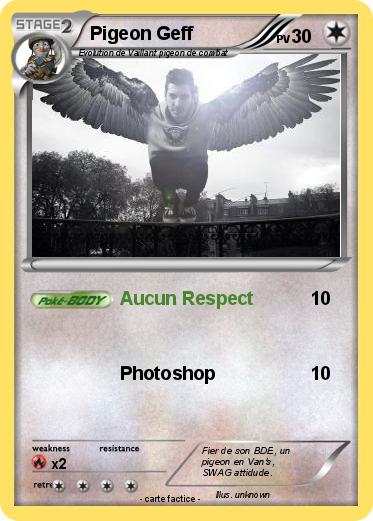 Pokemon Pigeon Geff