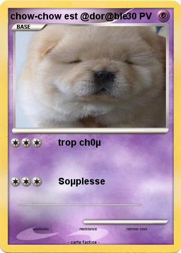 Pokemon chow-chow est @dor@ble