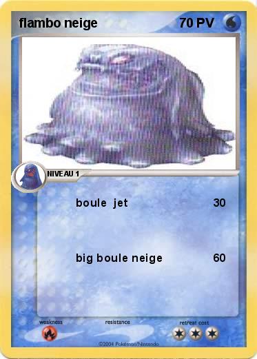 Pokemon flambo neige