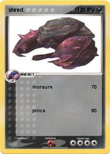 Pokemon shred