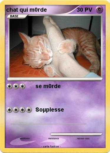 Pokemon chat qui m0rde