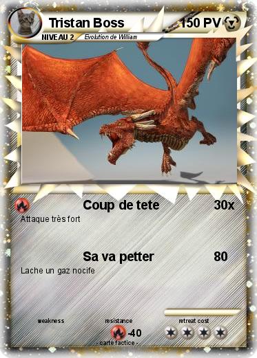 Pokemon Tristan Boss