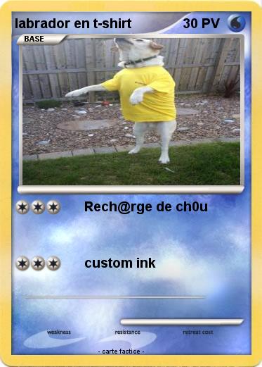 Pokemon labrador en t-shirt