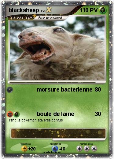Pokemon blacksheep