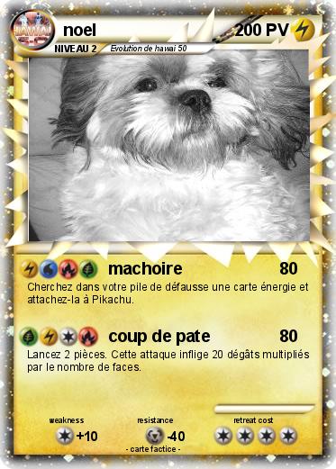Pokemon noel