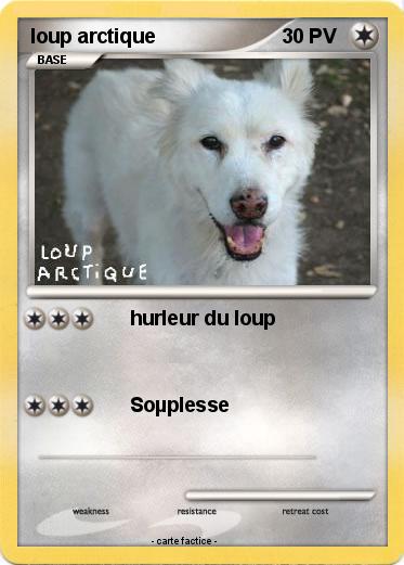 Pokemon loup arctique