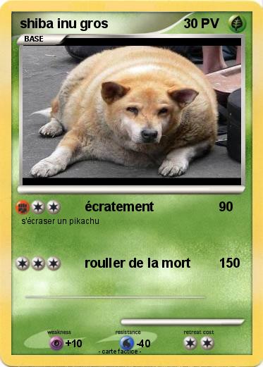 Pokemon shiba inu gros