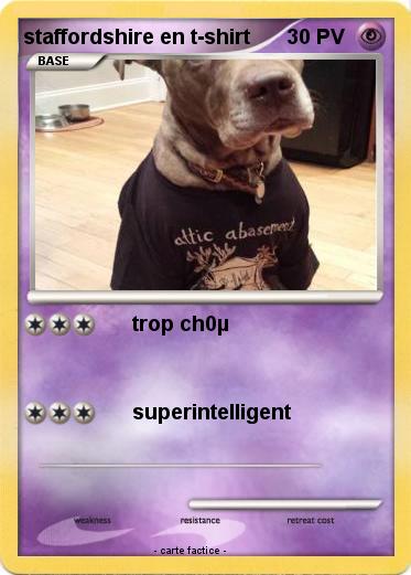 Pokemon staffordshire en t-shirt