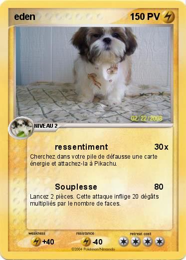 Pokemon eden