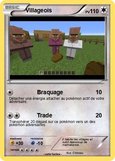 Pokemon Villageois
