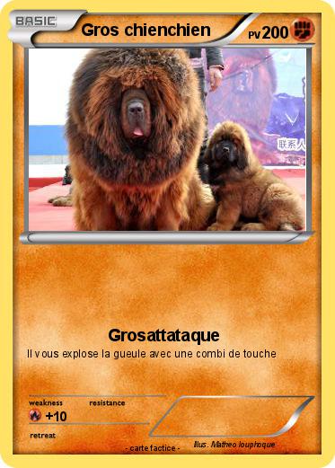 Pokemon Gros chienchien