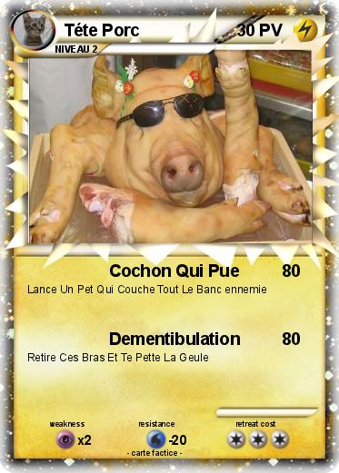 Pokemon Téte Porc