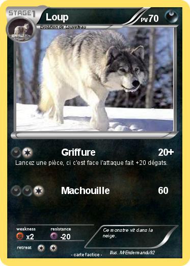 Pokemon Loup