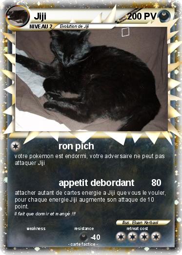Pokemon Jiji
