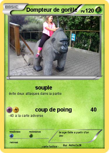 Pokemon Dompteur de gorille